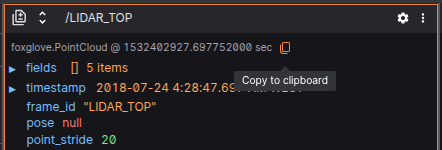 Raw messages copy shorcut
